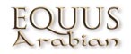 equus-arabian.de