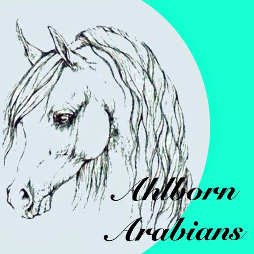 Ahlborn Arabians