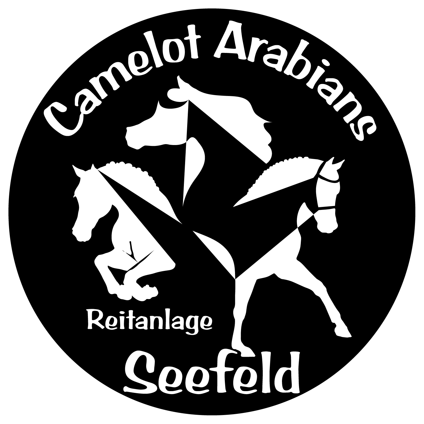 Camelot Arabians