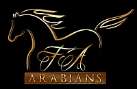 FA Arabians