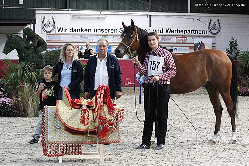 Polmir - Foto © M.Groger